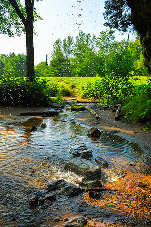 A Waterfall's View