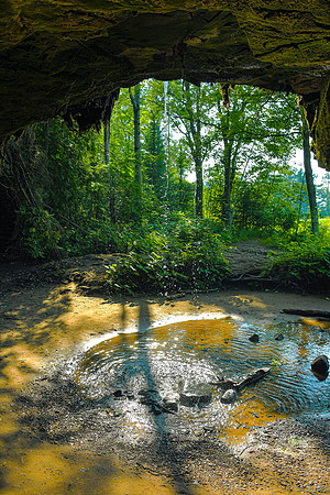 Behind Scott Falls